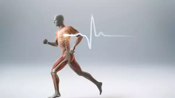corazón 3D