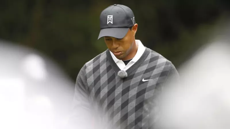 tiger