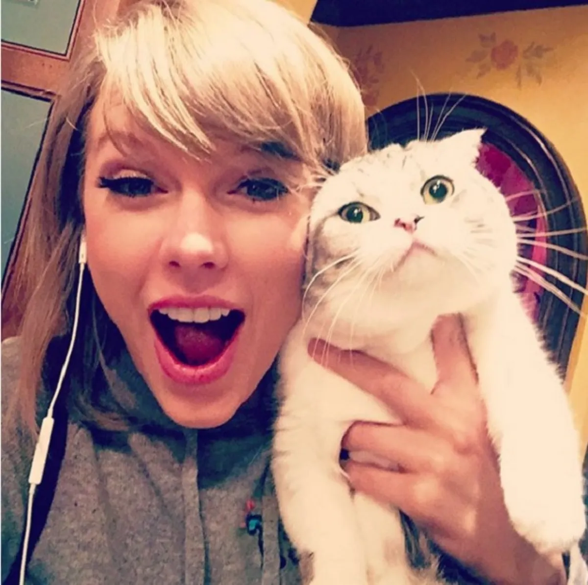 Meredith es alérgica a la alegría, escribe la cantante en una de las fotos más populares del 2015 en Instagram, y la selfie que más likes ha tenido en el historial de Taylor.