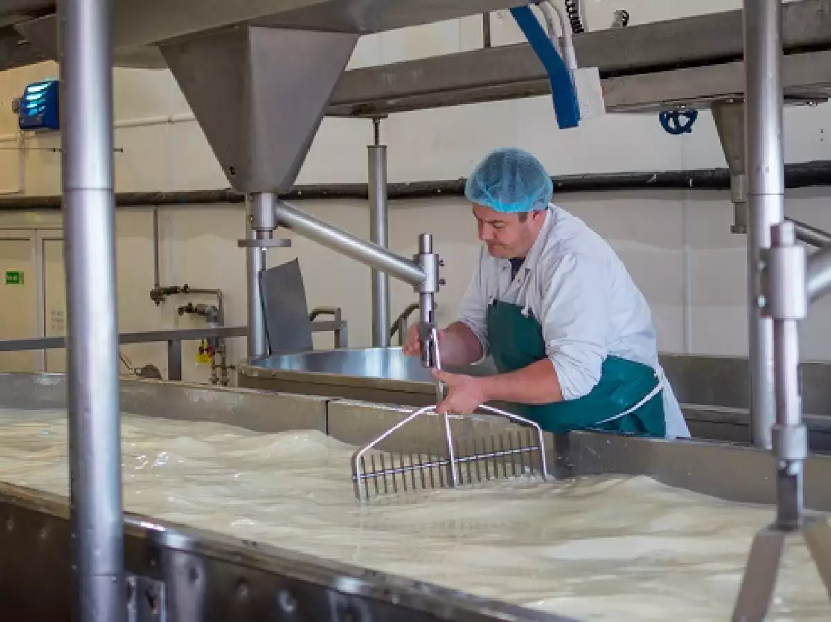 f�brica de leche