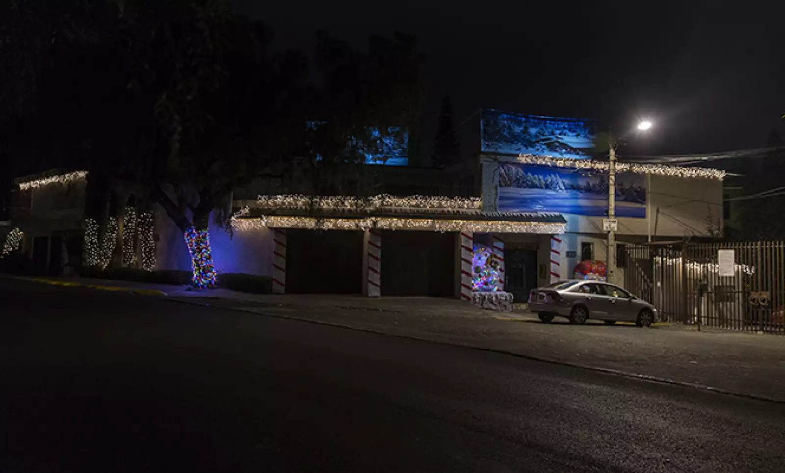 Los árboles en las calles se suman a los techos y fachadas para crear una mejor armonía con las luces navideñas.