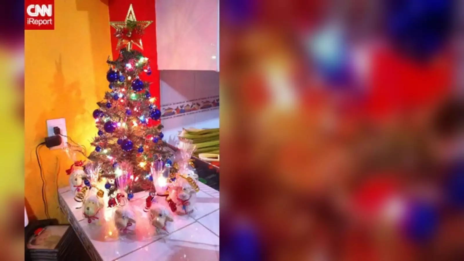 irpt-arbol-navidad3