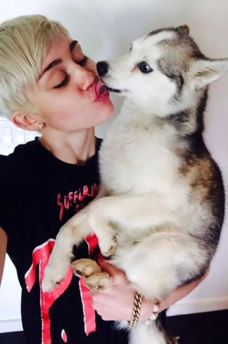 Durante la prueba de sonido, la cantante lloró pues recordó a su perro Floyd quien murió esta semana. La ex niña Disney le dedicó la canción "Landslide" de Fleetwood Mac.