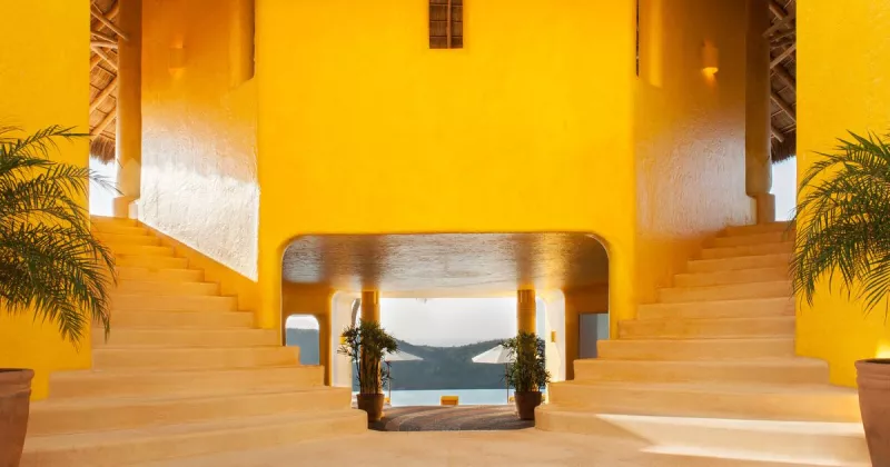 careyes_official_lead