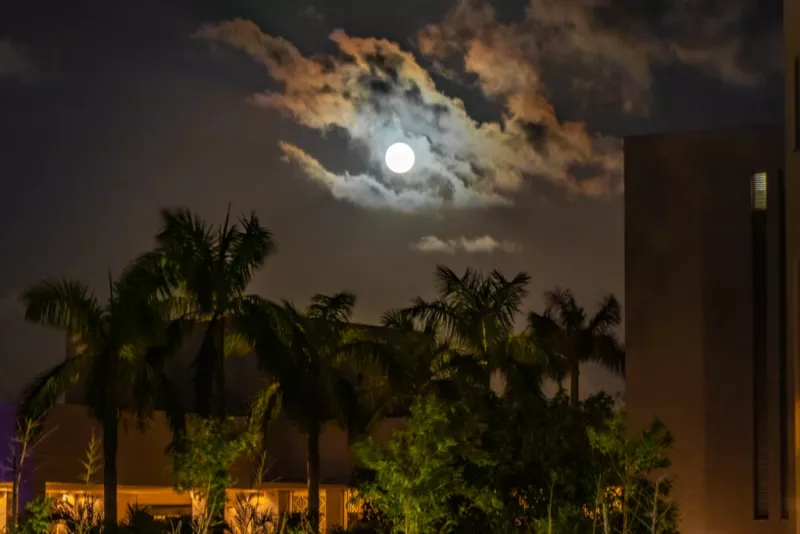 CFE aclara la causa del apagón masivo en Quintana Roo y otros estados