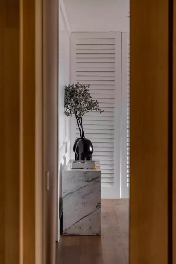Entrada hacia un espacio con plantas sobre mueble de mármol