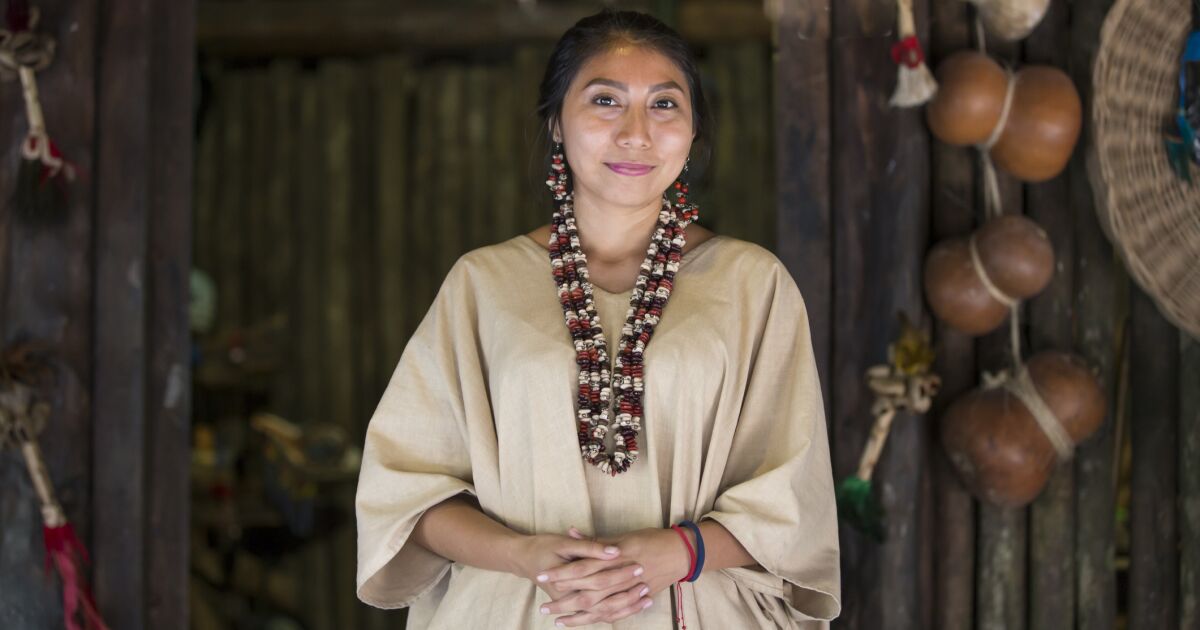 Woolaroo, the app that seeks to preserve indigenous languages Woolaroo, the app that seeks to preserve indigenous languages
