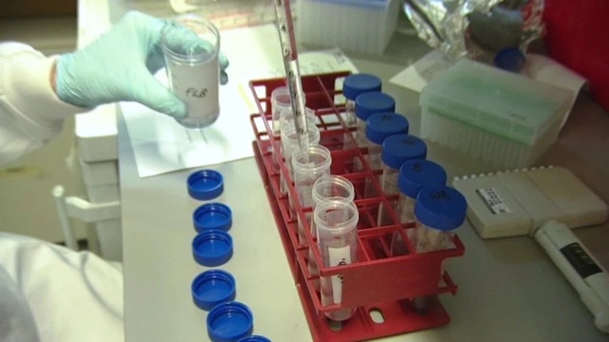 pruebas vacuna ébola