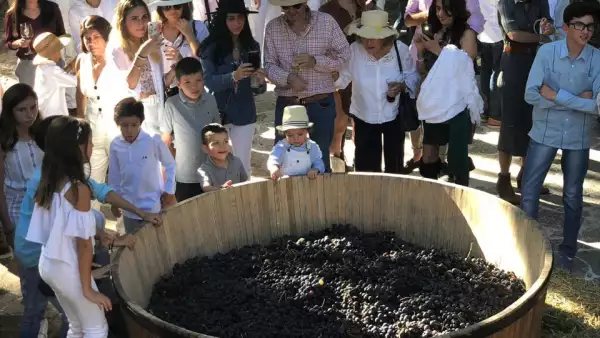 La fiesta de la vendimia