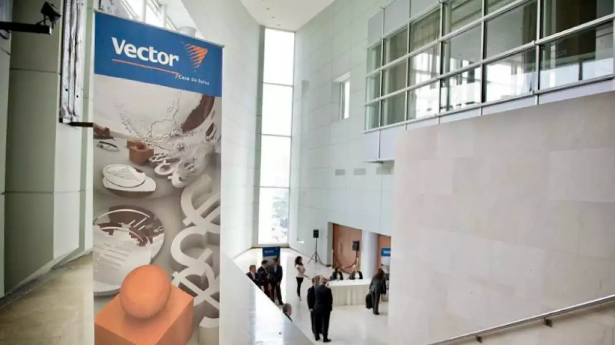 vector-cnbv.jpeg