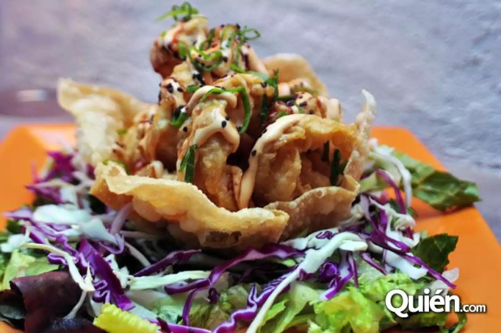 Inauguración de La Cigala Azul