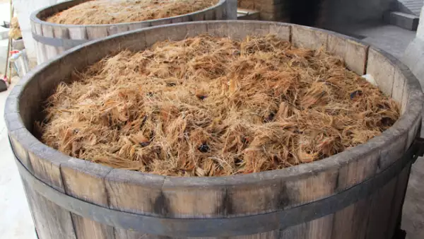 Mezcalera Oro de Oaxaca