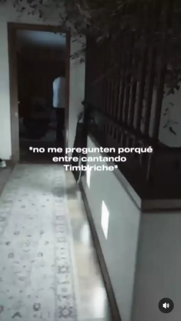 ale-capetillo