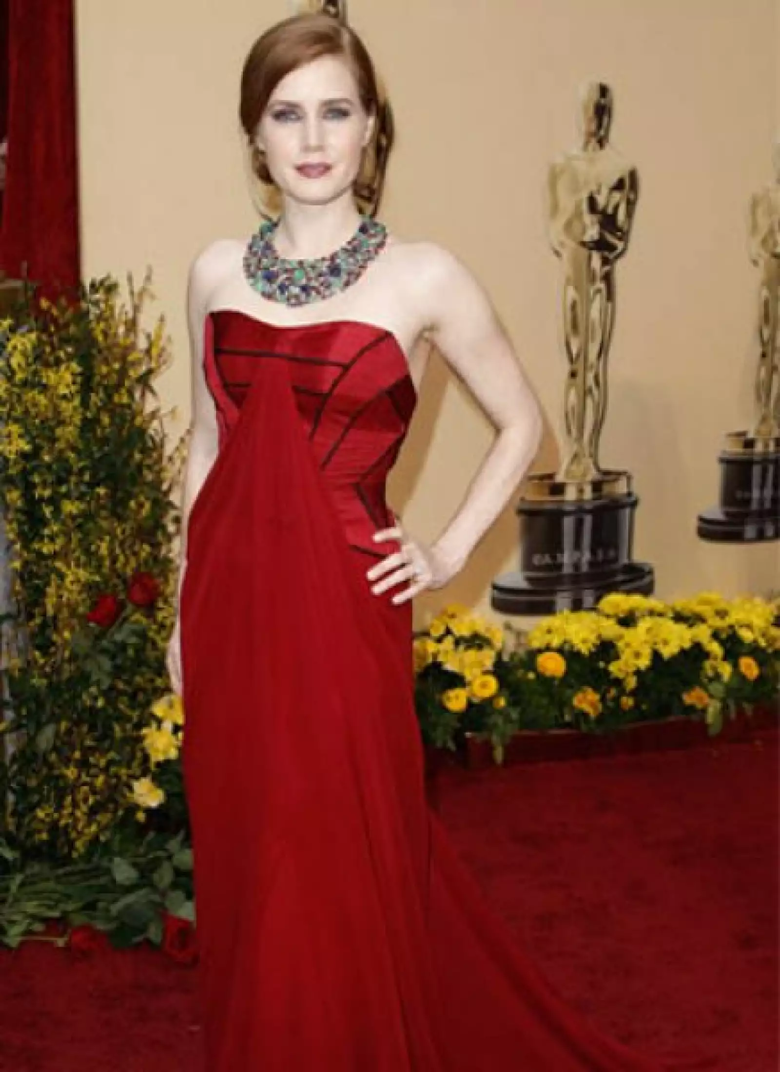 Amy Adams, quien compartió creditos en La Duda con Meryl Streep, llevó un vestido de Carolina Herrera, zapatos de Christian Louboutin y un llamativo collar de Fred Leighton con más de 630 quilates de esmeraldas, rubíes y zafiros.