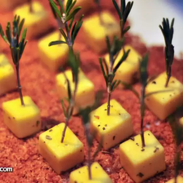 Festival Food and Wine por Pronatura