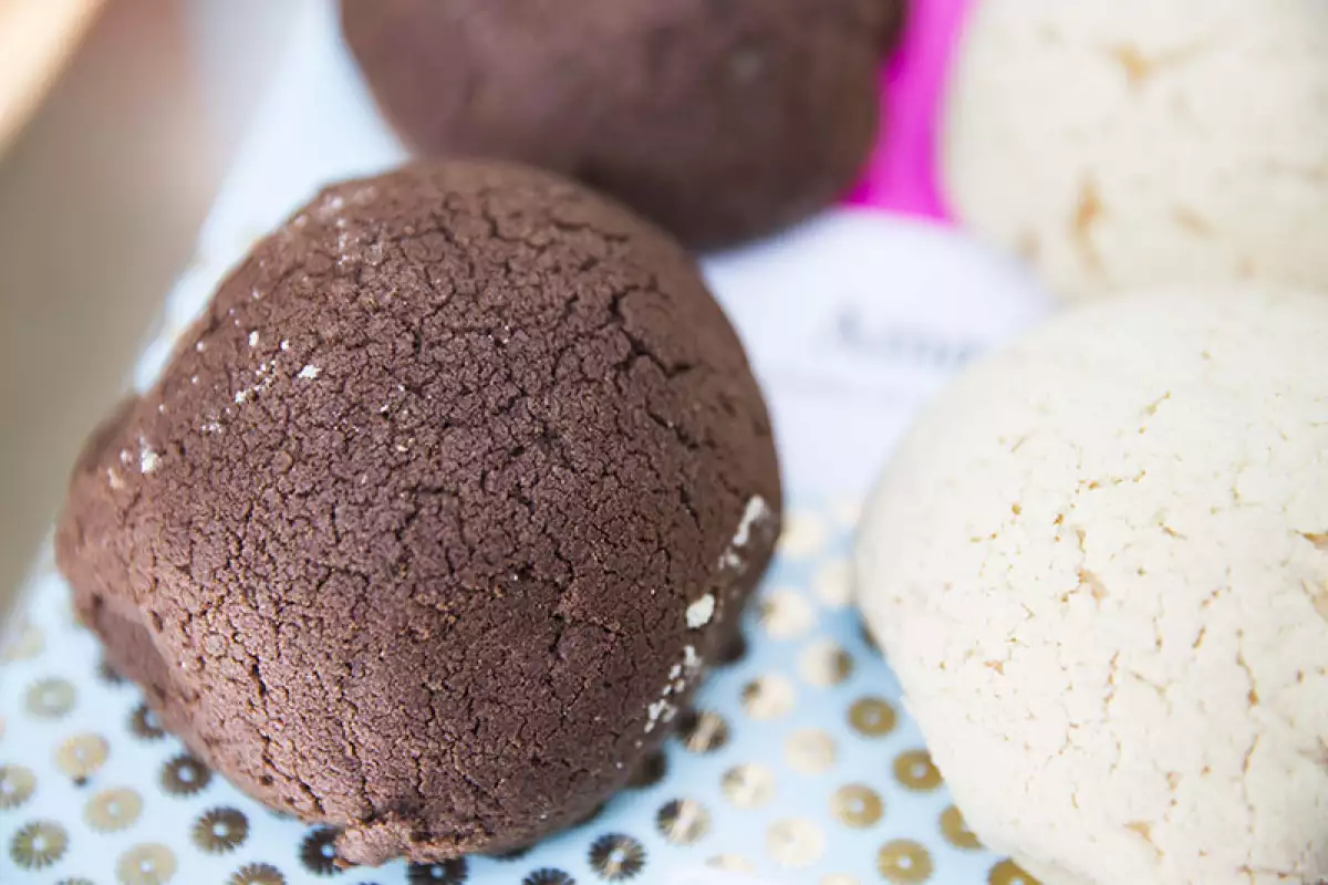 27 de agosto de 2018. Concurso de conchas. Jardín de 5M2