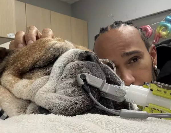 perrito de lewis hamilton