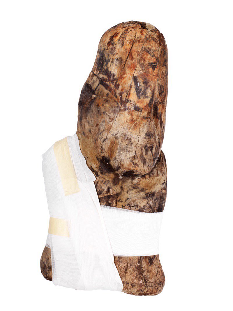 Busto de madera