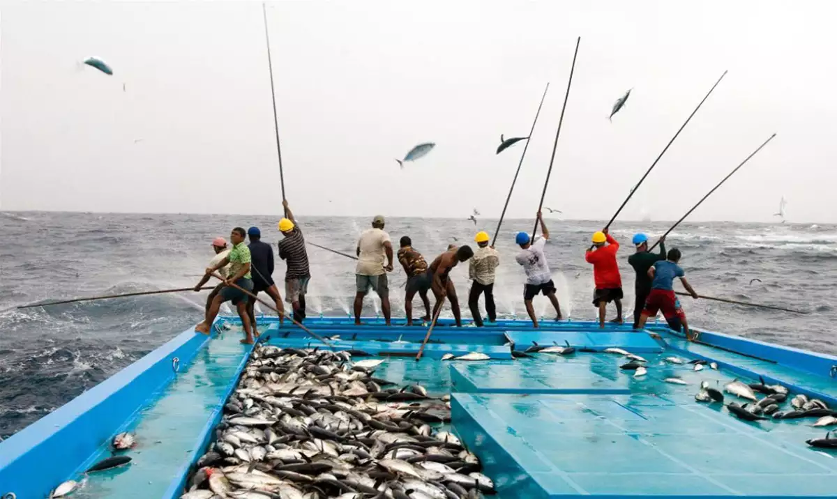 Pescadores de la Cantabria.
