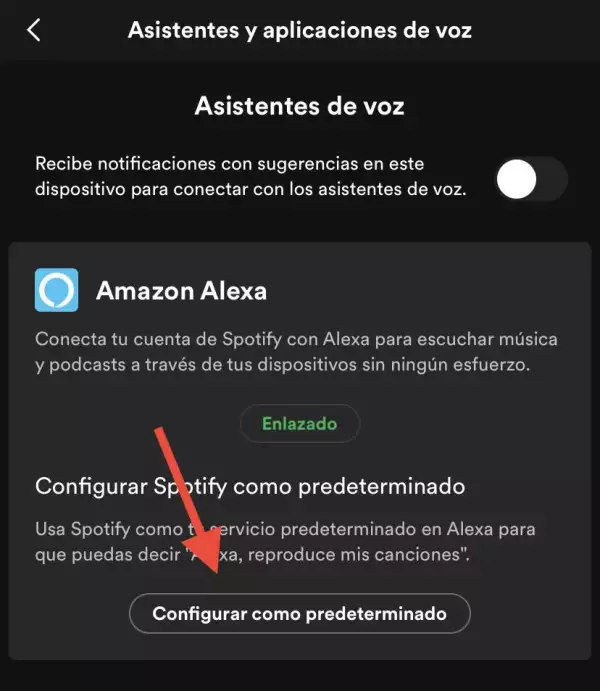 Como-conectar-alexa-spotify-3