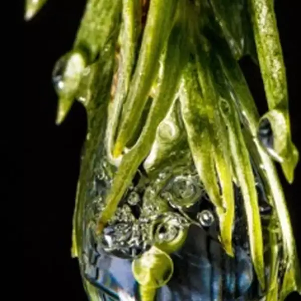 fotografias nieve hielo