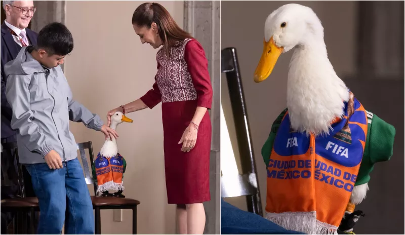 pato merlin.jpg
