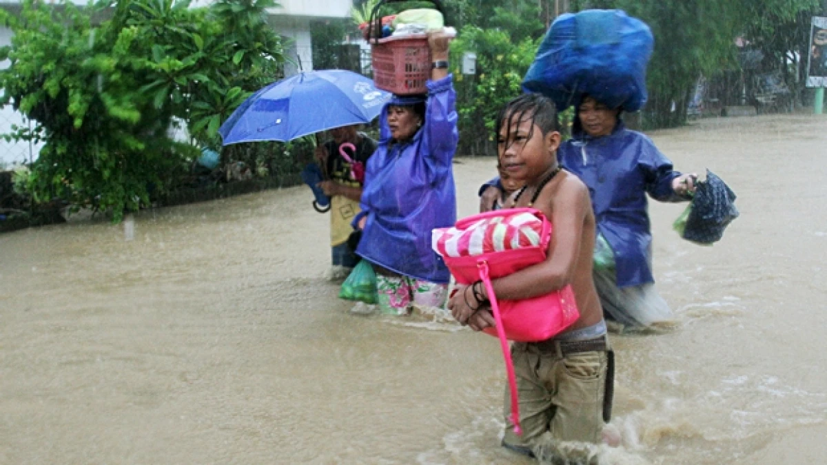 tifon linfa filipinas