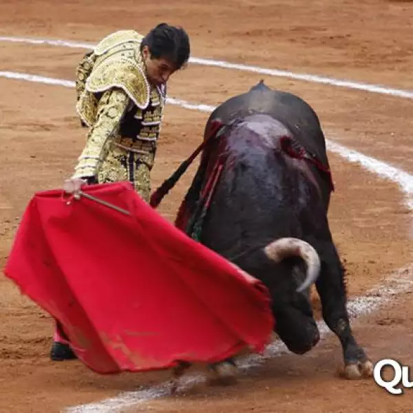 19 corrida de Toros