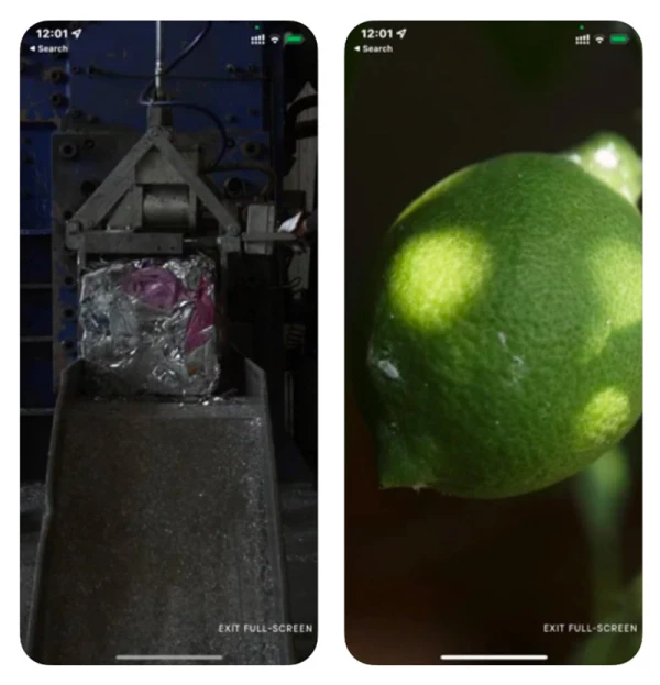 bottega veneta verde app