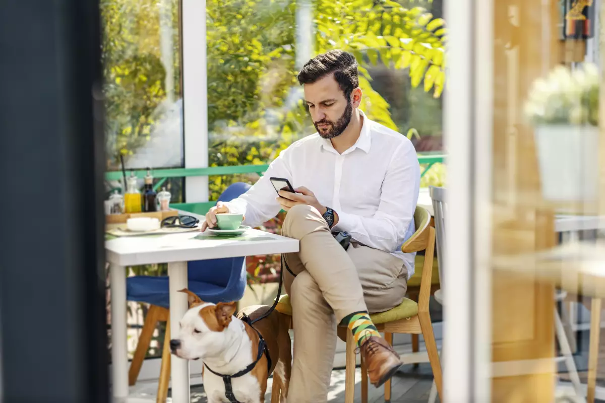 Lugares pet friendly