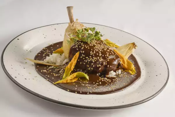 imagen del platillo "mole barroca".