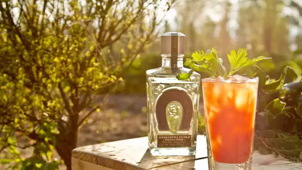 Tequila Herradura
