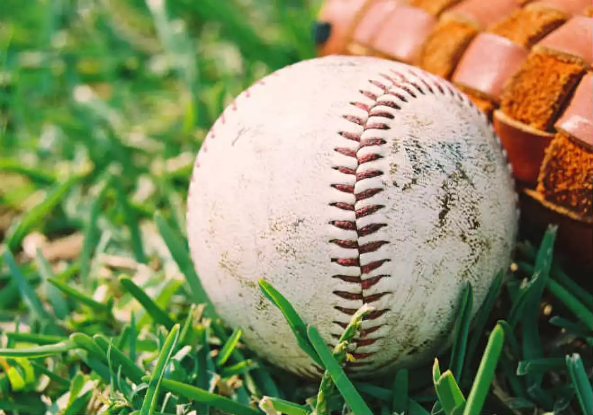 Pelota Beisbol
