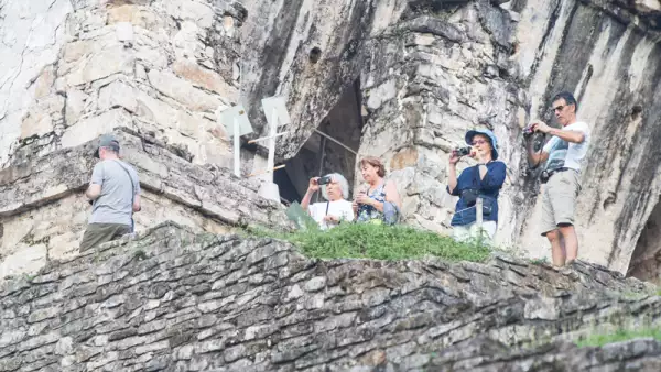 Estación Palenque del Tren Maya
