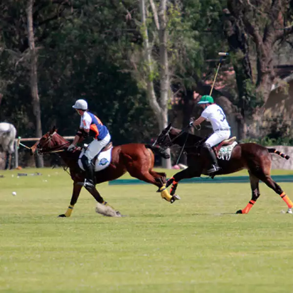 Juego de Polo México - España