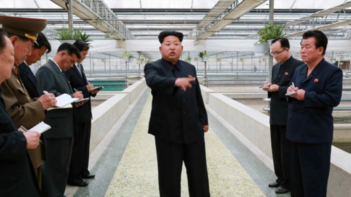 kim jong un langostas