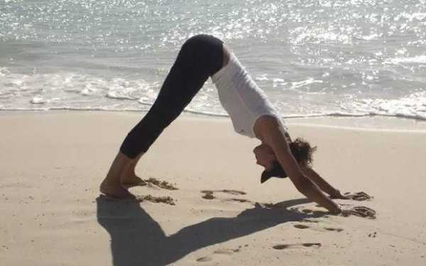 La posición del perro boca abajo es una de las básicas de yoga.