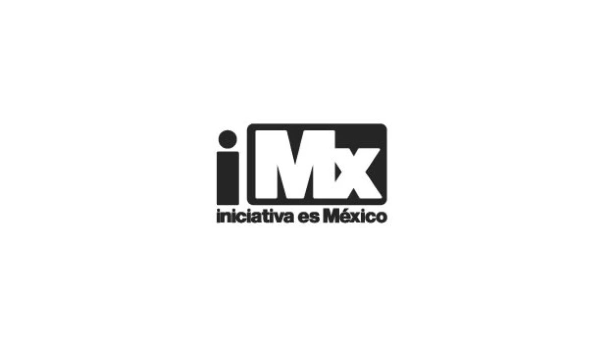 iniciativa mexico hackeo