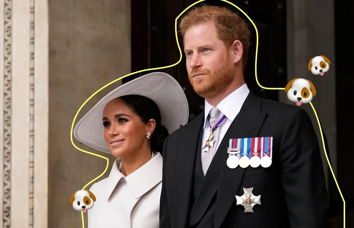 MeghanHarryRescadogs_destacada.jpg