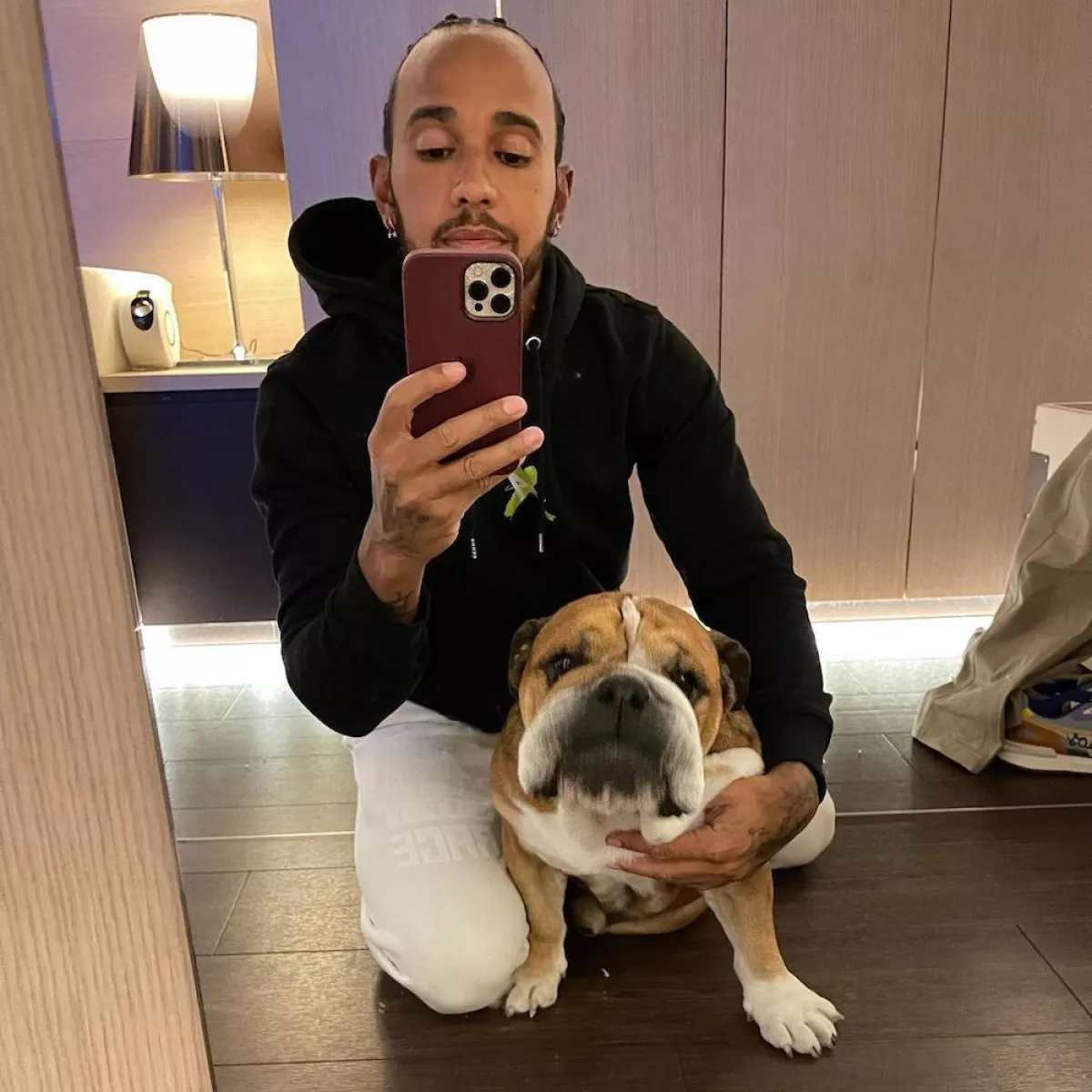 Denuncian a Lewis Hamilton por hacer vegano a su perro; podría ir a prisión