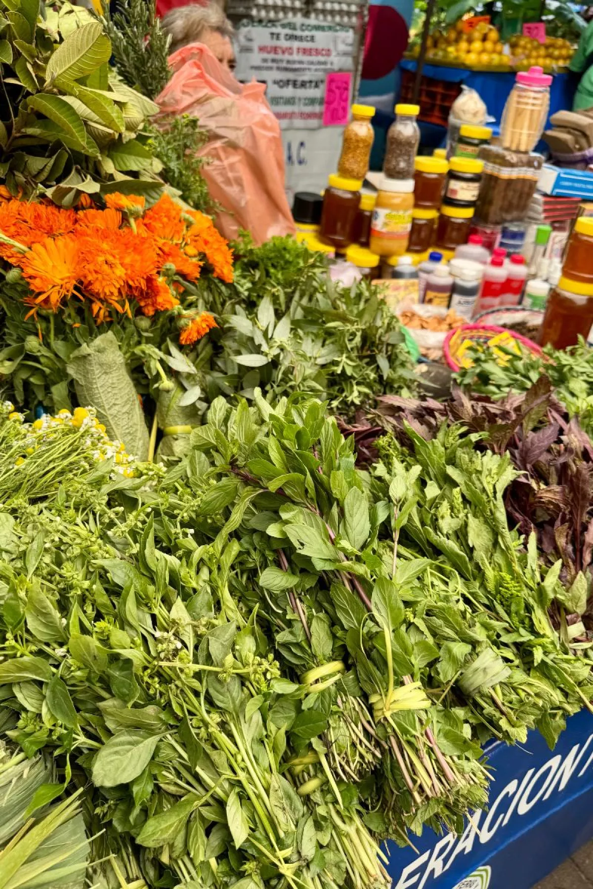 Tianguis de los sábados en Polanco Ciudad de México