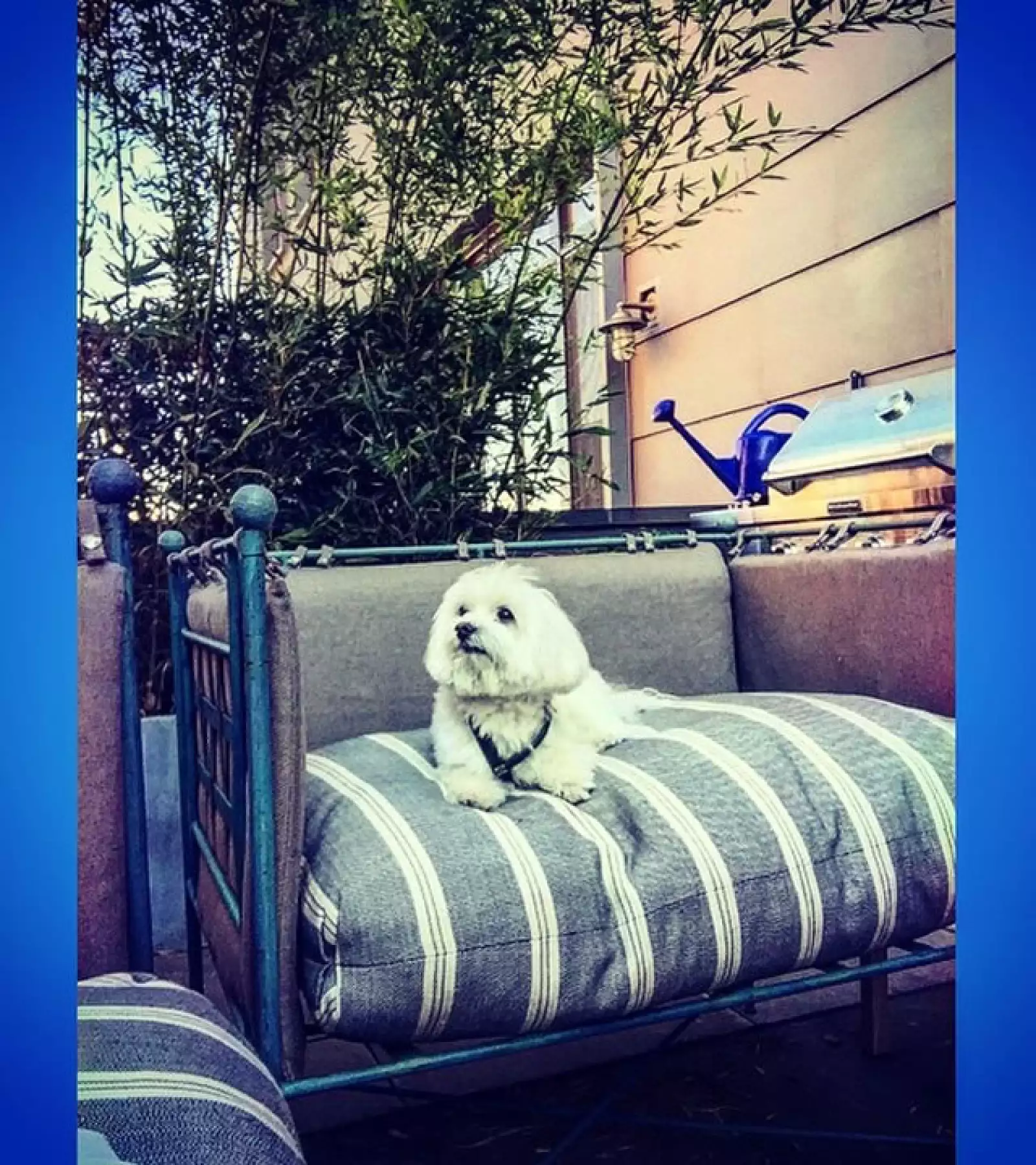 Mr. Butler siempre está invitado a todas las reuniones de trabajo de Olivia y su esposo.