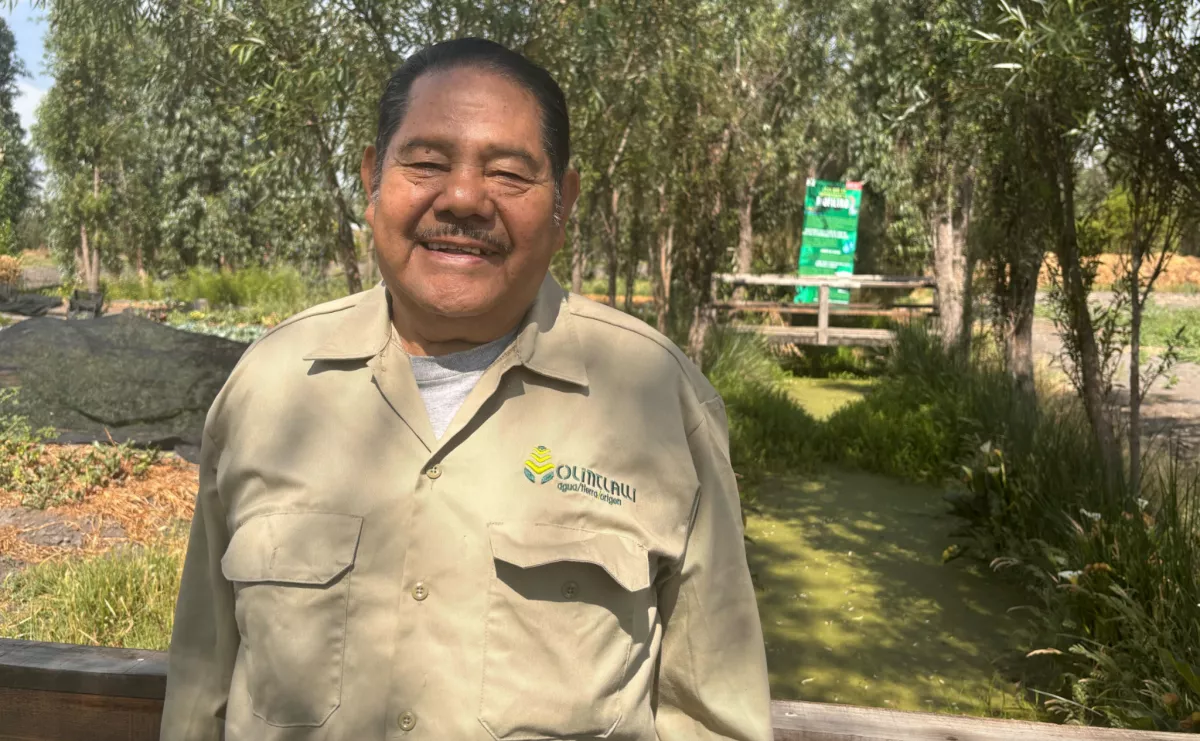 ¿Qué tiene que ver la extinción de ajolotes en Xochimilco y el gobierno de Echeverría?