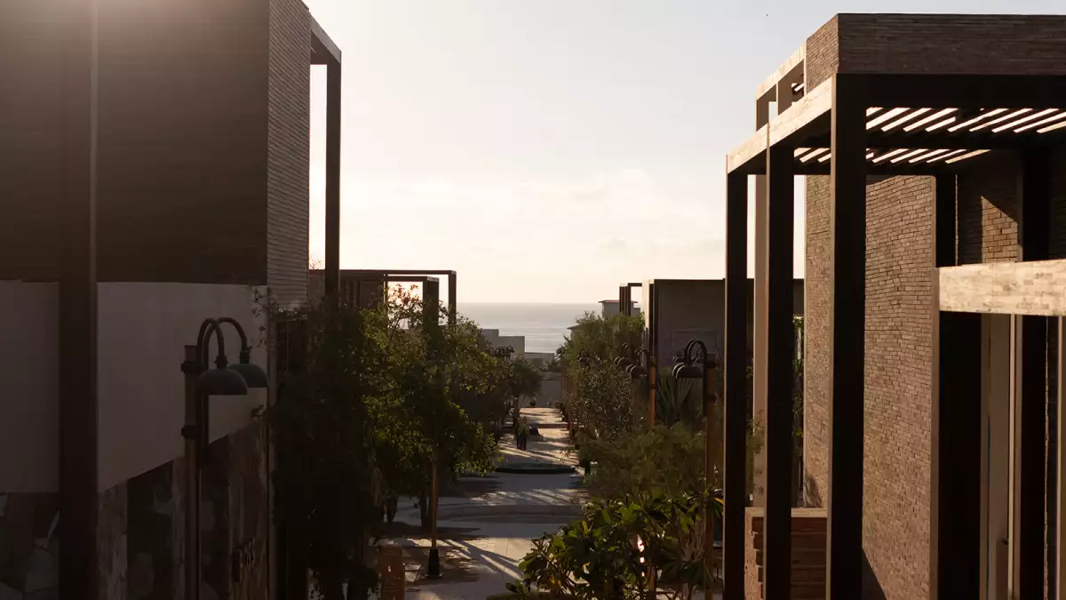 SOMA / ANIMA NOV 2025