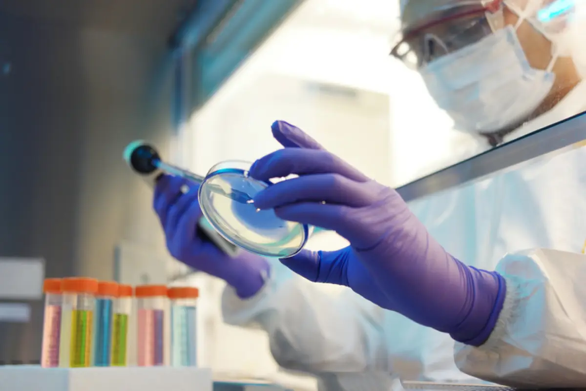Laboratorio farmacéutico 