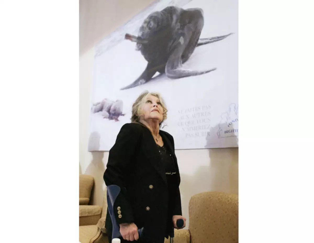 La actriz francesa escribió una carta para el monarca español en donde le muestra su indignación y horror por la caza de elefantes.