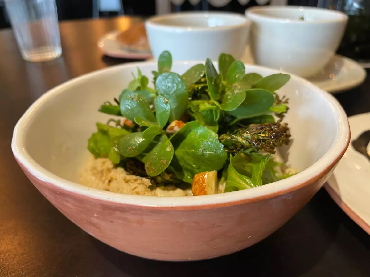 Foto de un plato hondo con hummus hecho de frijoles criollos con quelites frescos encima.