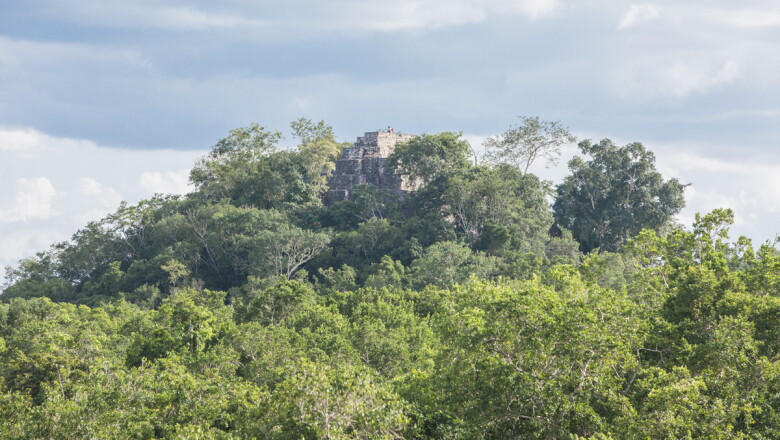 Así es en la actualidad la zona donde se construirá la Estación Calakmul