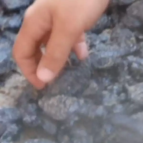 iReport-PlanetaCNN10