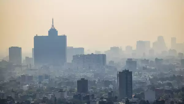 hoy no circula y contaminación